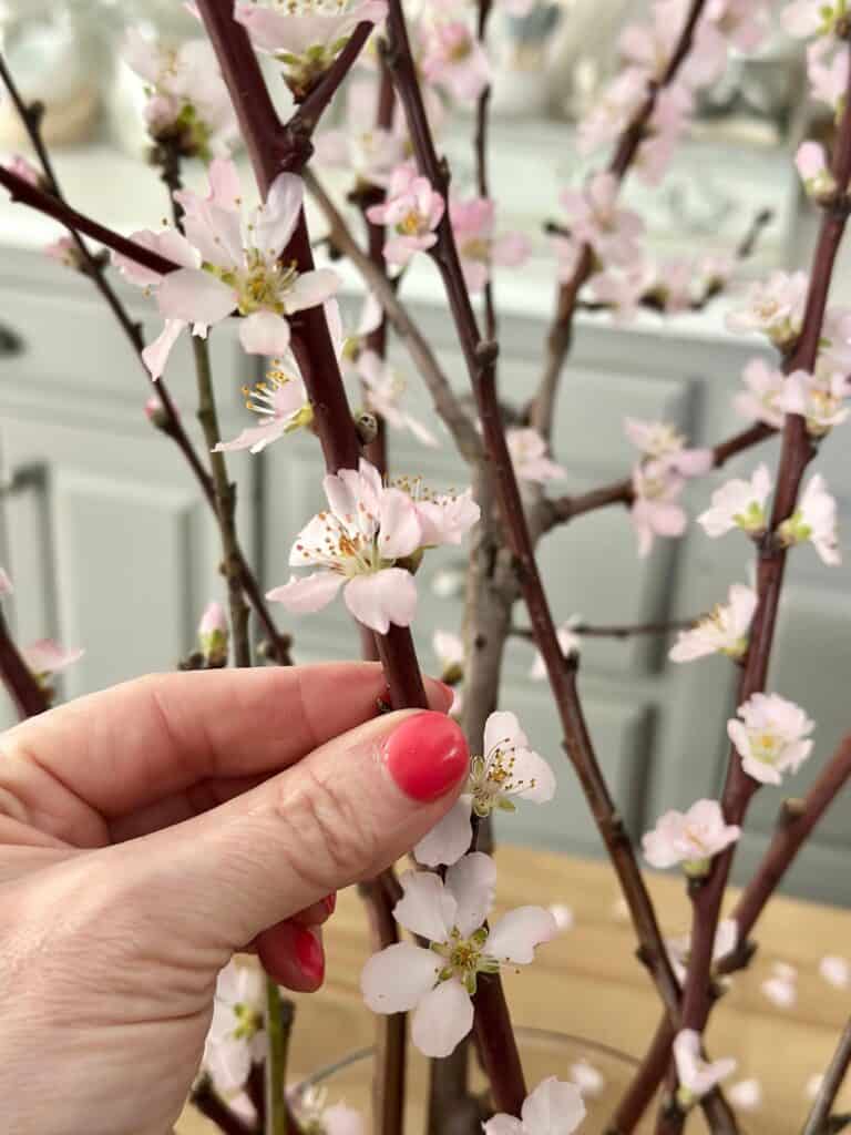 Placing the branches in the vase of water. 