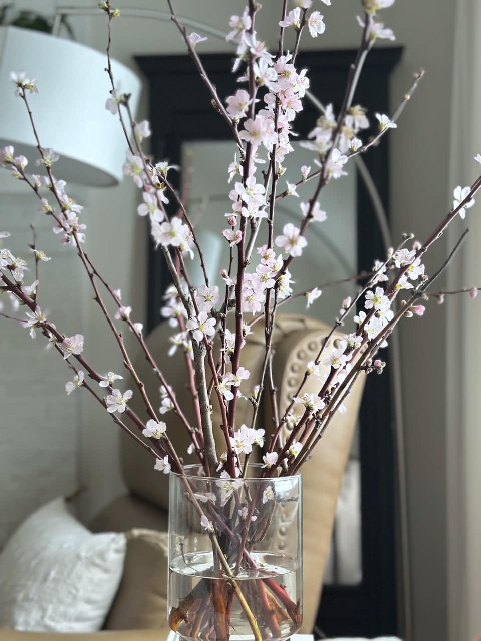 Flowering branches in front of a window. 