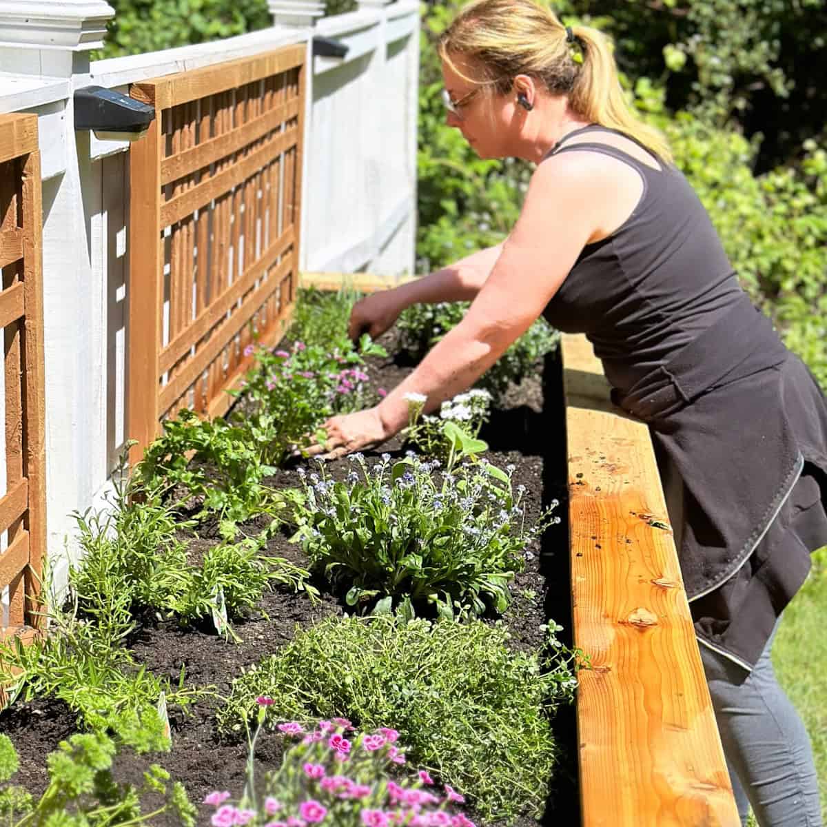 Me gardening in a raised garden bed.