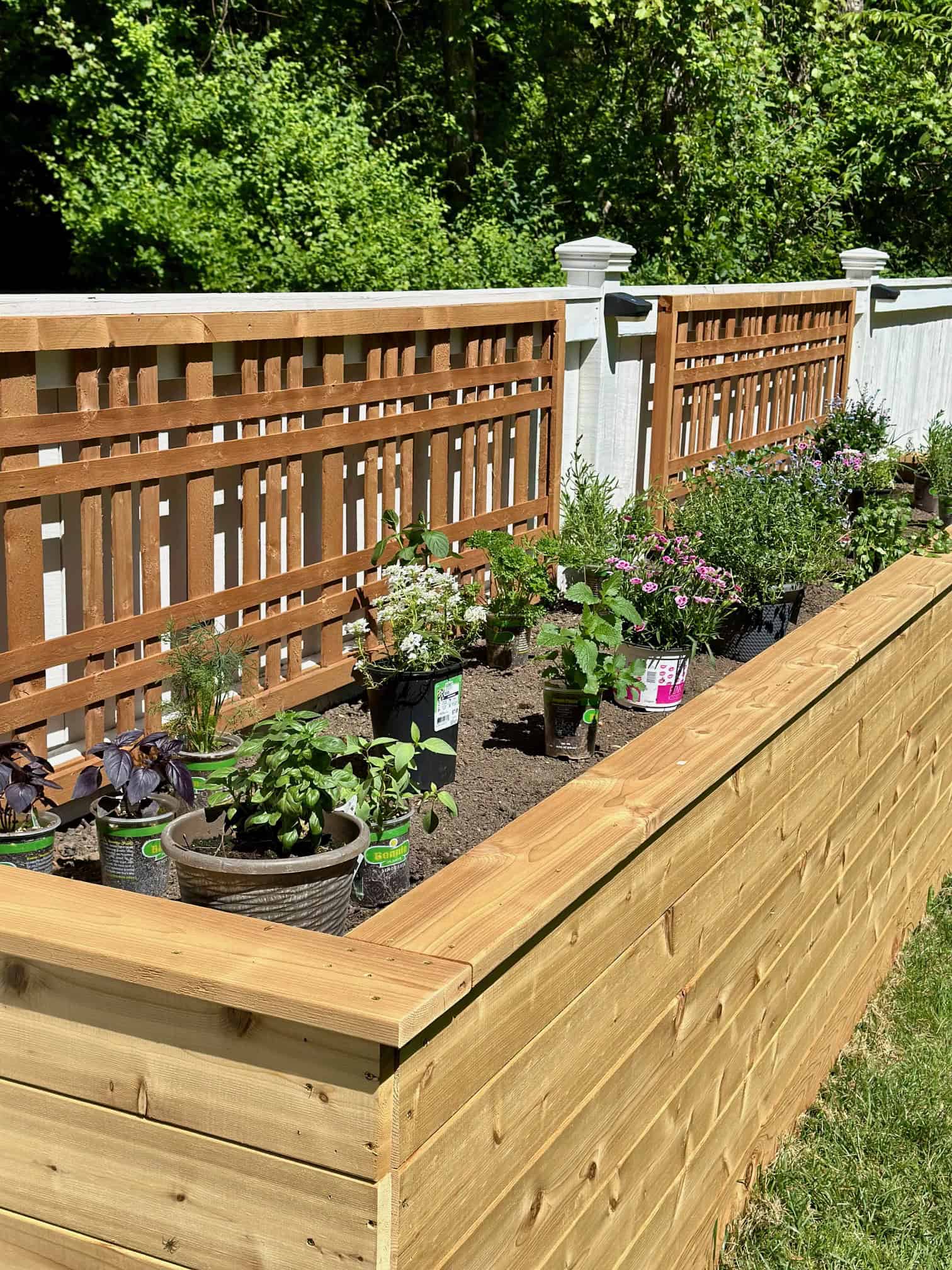 Pots in bed ready to be planted.