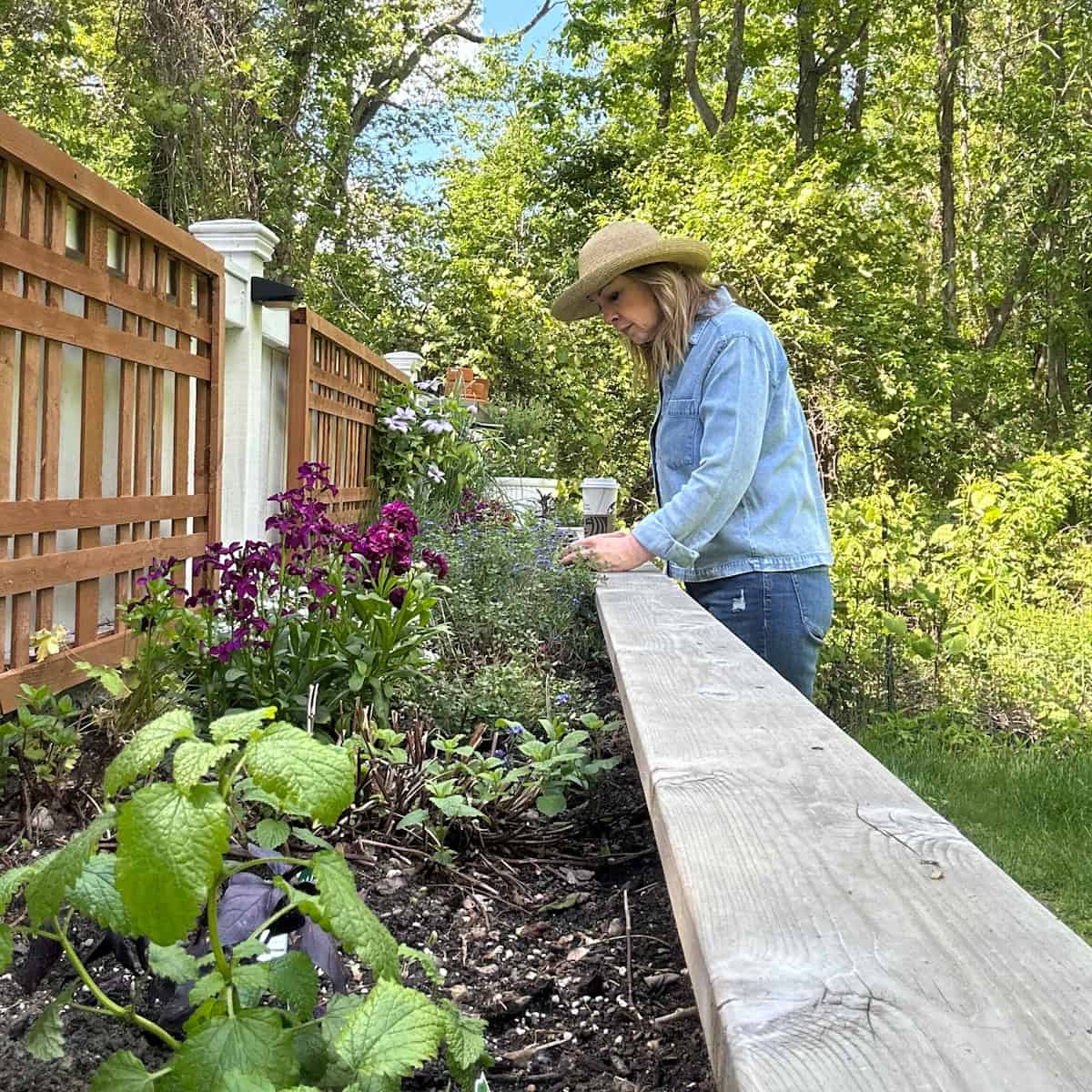 Our 16-Foot Raised Herb Garden Bed: Design Ideas, Soil Tips, and Lessons Learned
