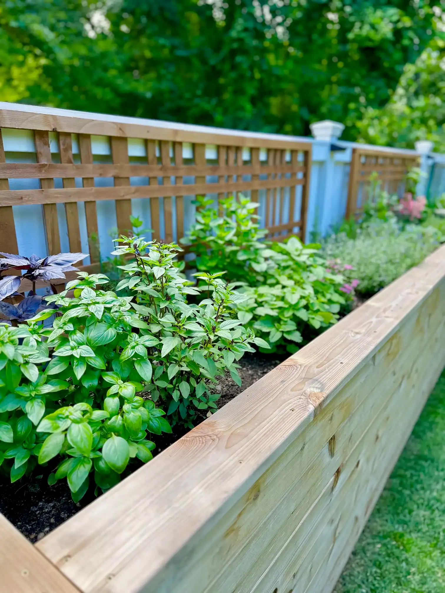 16 foot raised herb garden bed with herbs and flowers.