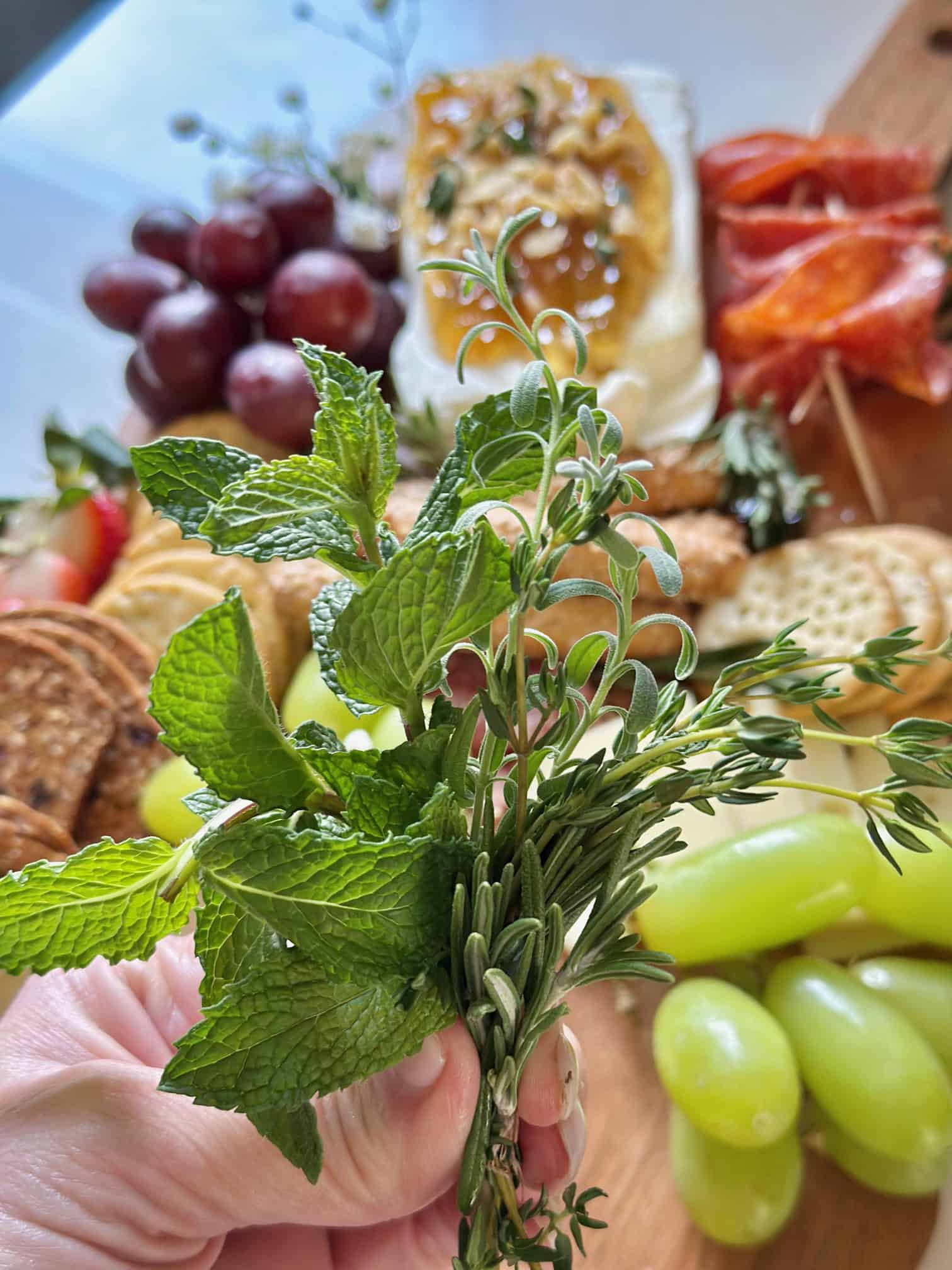 A cluster of fresh herbs as garnish in front of a charcuterie board. 