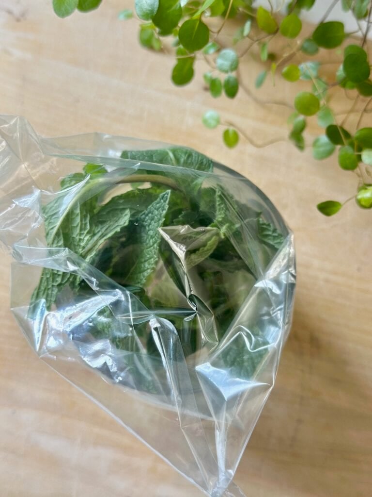  A baggie over mint in a glass of water. 