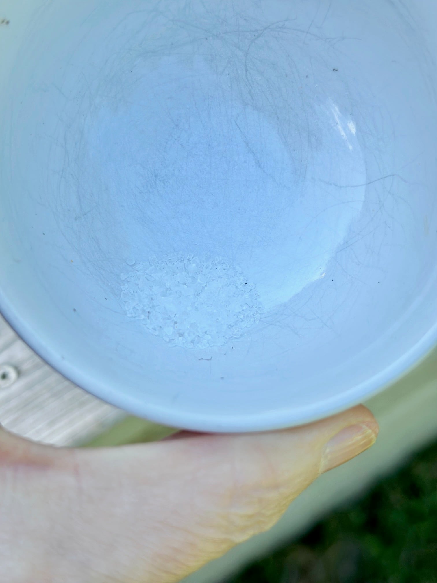 Sea salt in a small bowl. 