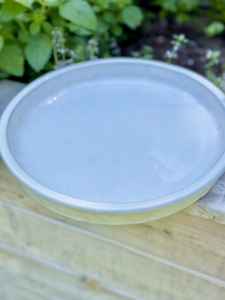 A new saucer to sit on the base. 