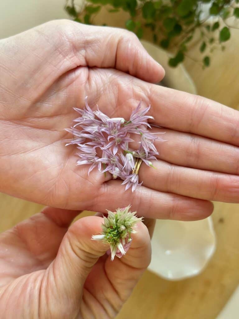 Florets in my hand. 