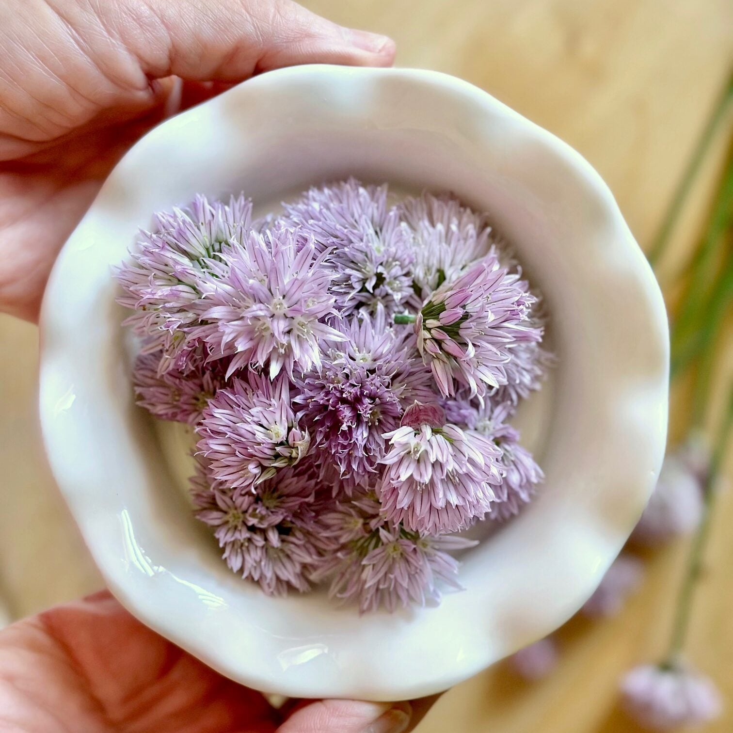A bowl of chive blossoms in a bowl.