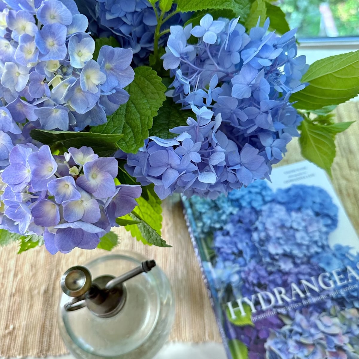Cut hydrangeas in a vase with a book on hydrangeas.