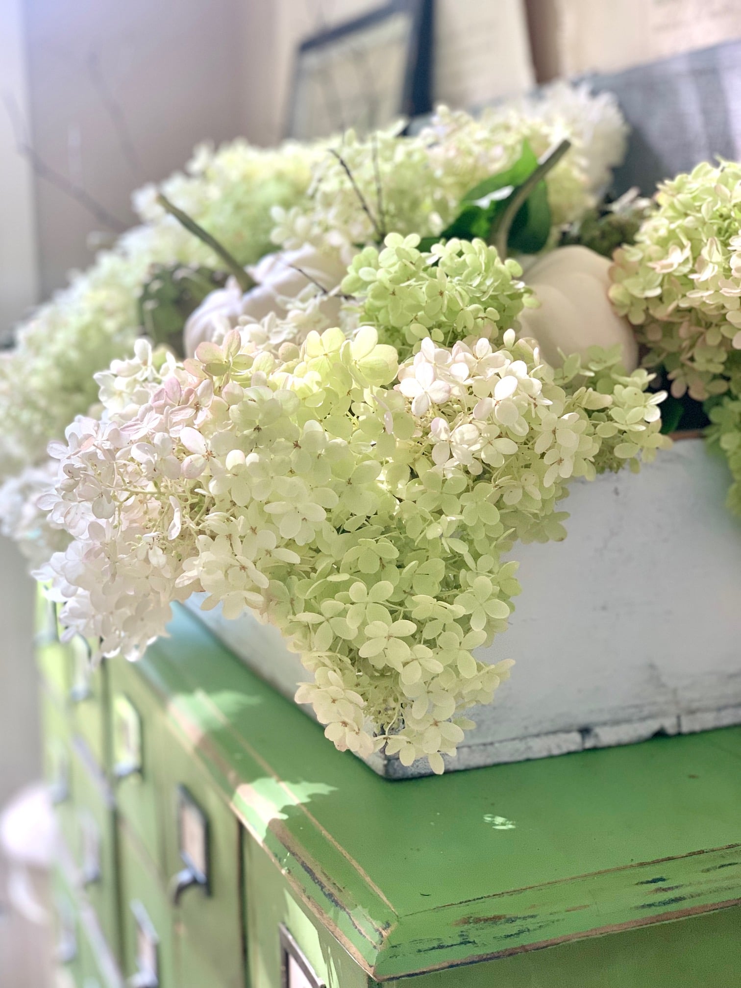Beautiful fall white hydrangea spilling out of a vintage tool chest. 