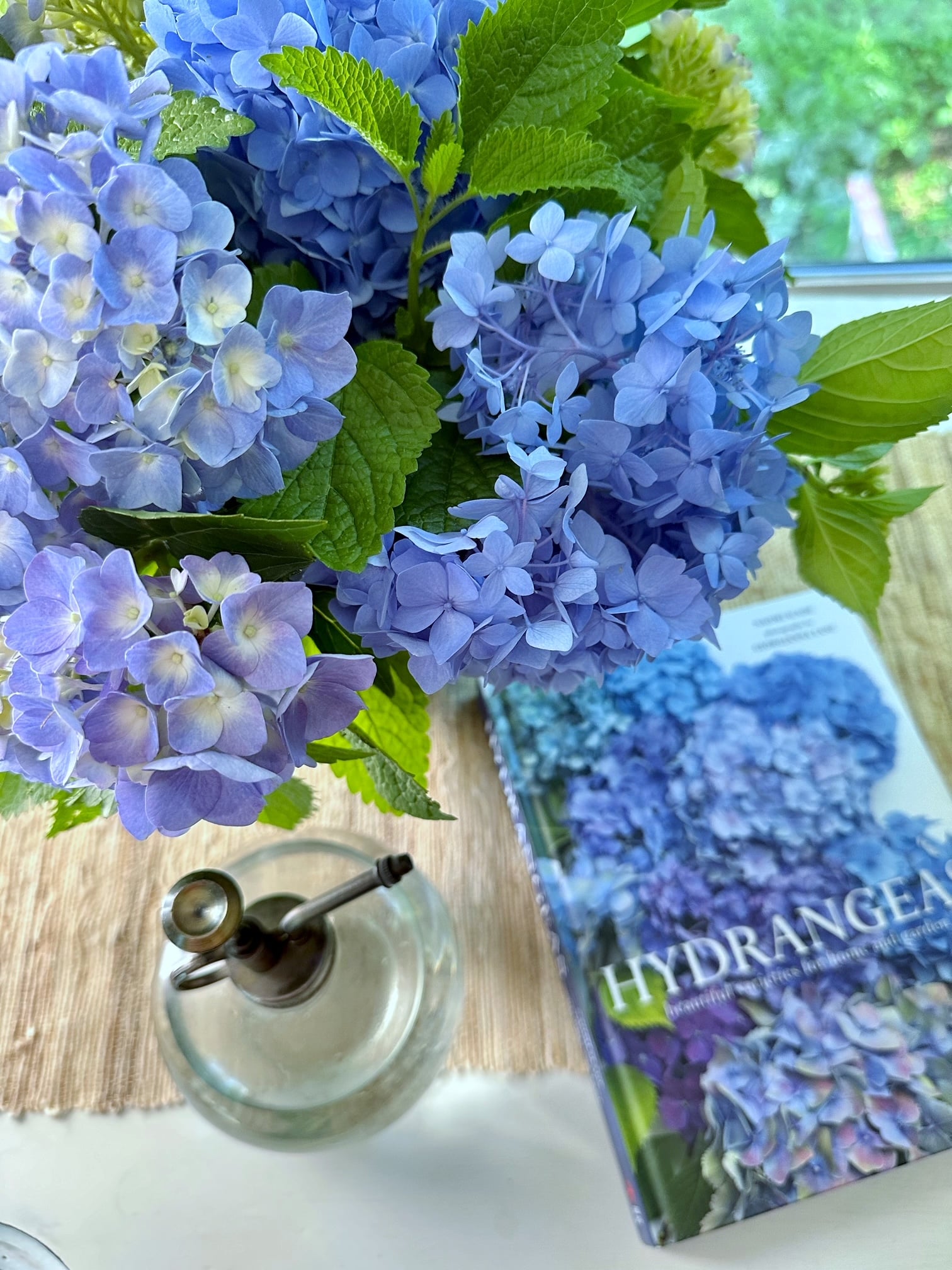 Blue cut hydrangeas with a book about the flower. 