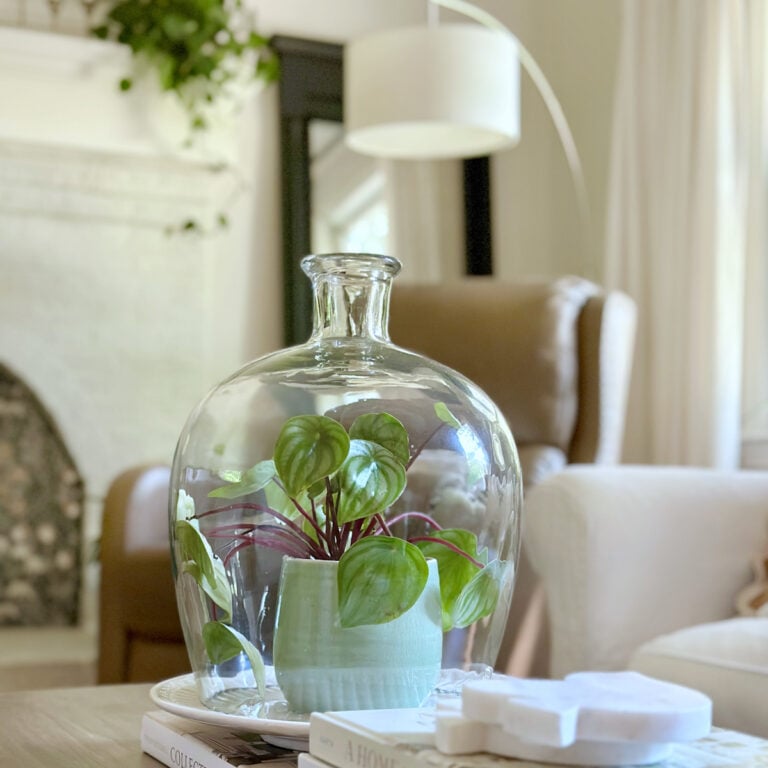 Decluttering checklist, a plant placed under a cloche with coffee table books.