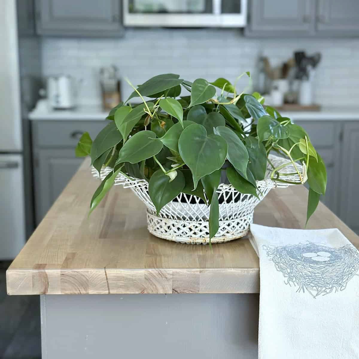 A decluttered kitchen island.