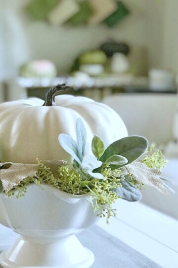 Large white pumpkin in a foot ceramic bowl.