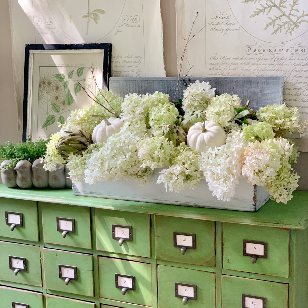 A white painted long vintage tool box filled with white fall hydrangeas, white mini pumpkins and artichokes. 