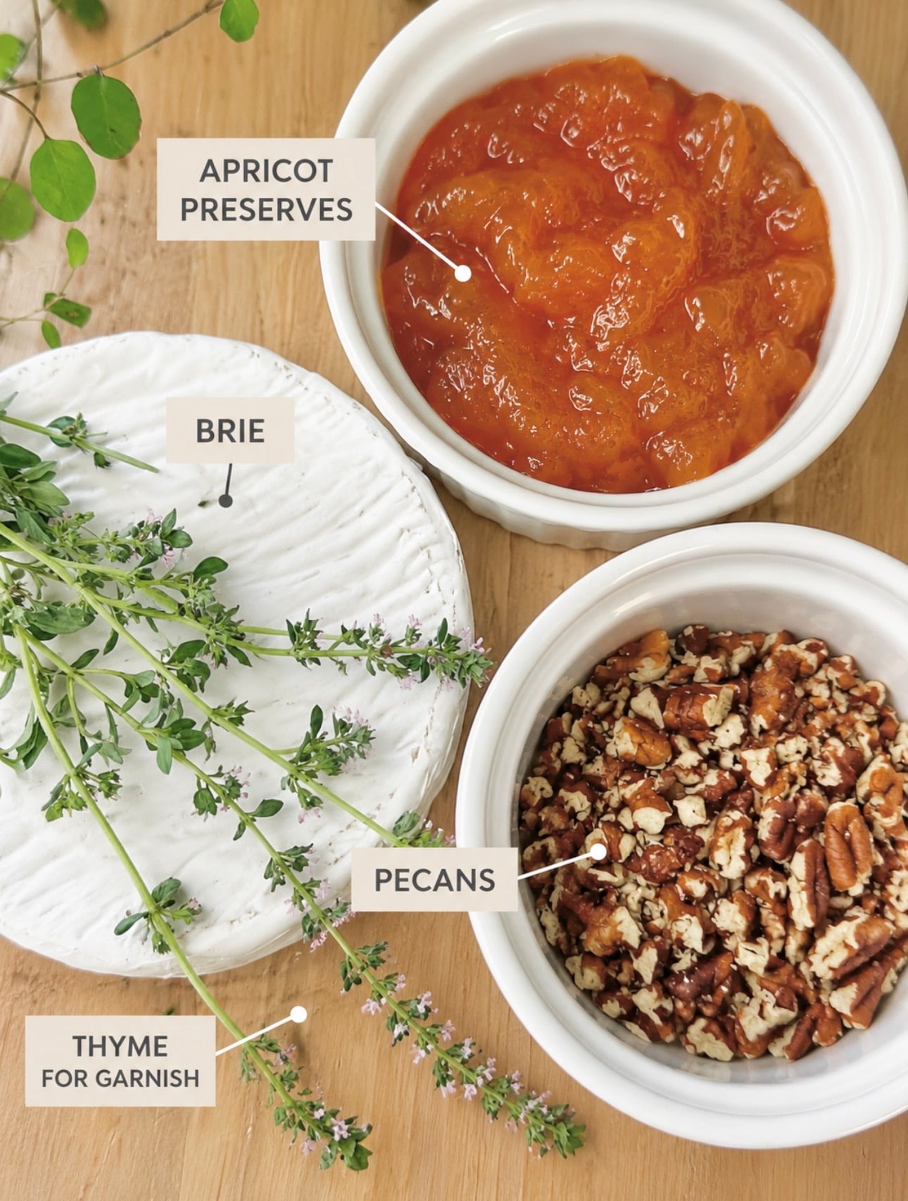 The ingredients for this simple recipe, brie, preserves, nuts and garnish. 