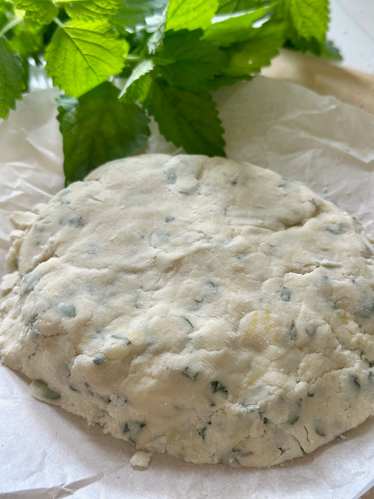 Dough in a mound to put in the refrigerator.