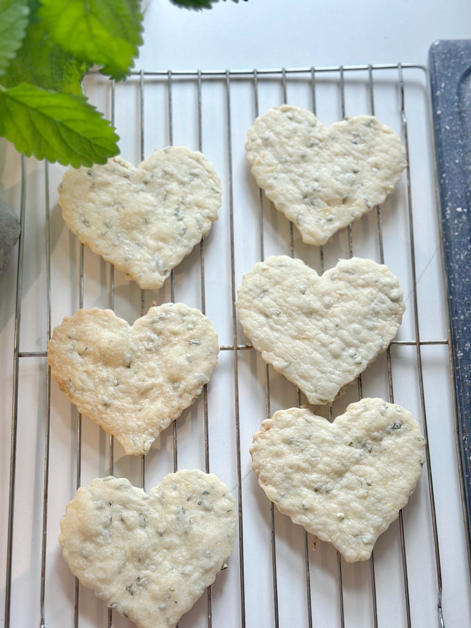 Lemon balm cookies cooling on a rack.