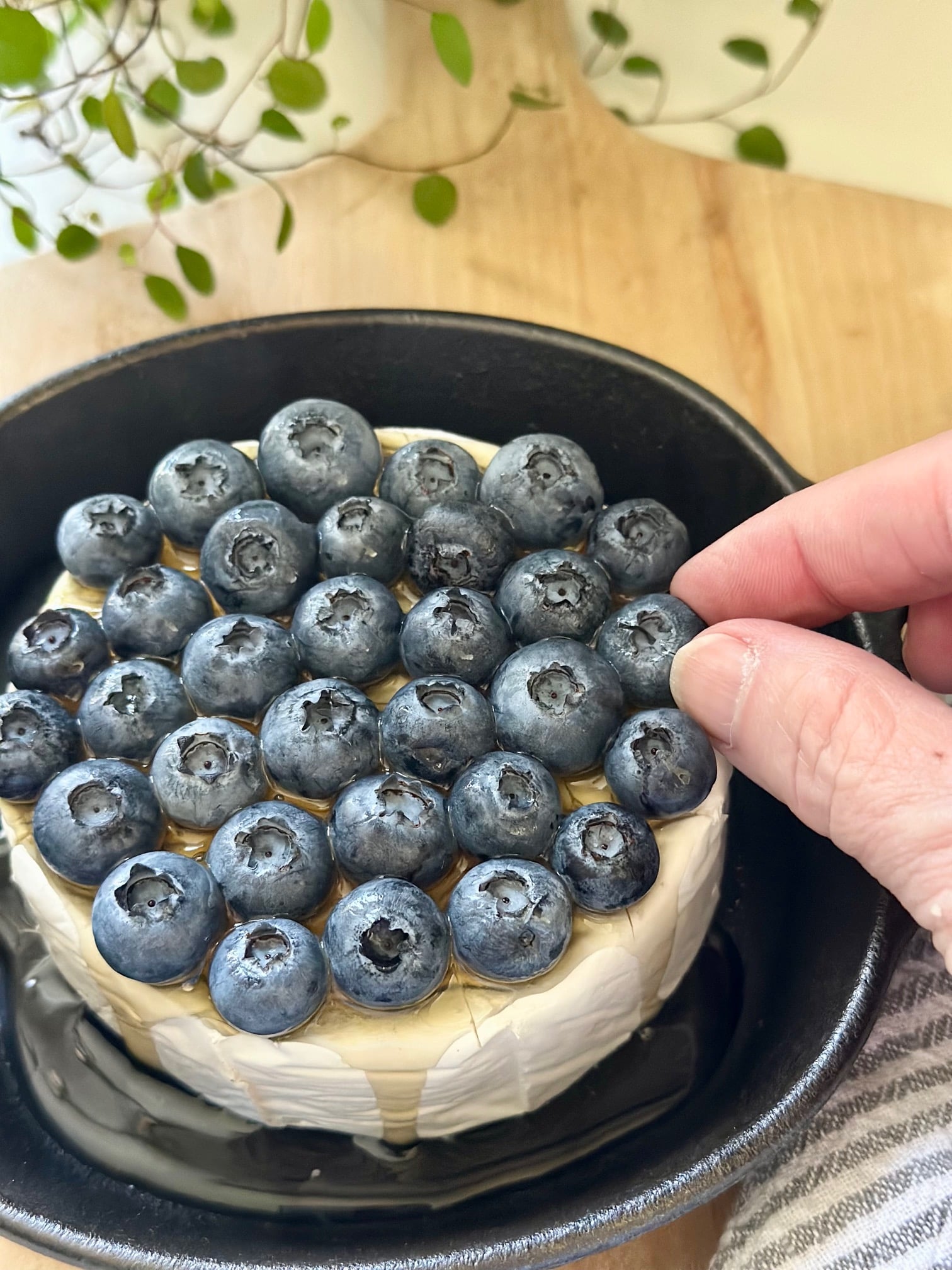 Placing fresh blueberries on the top of the brie. 