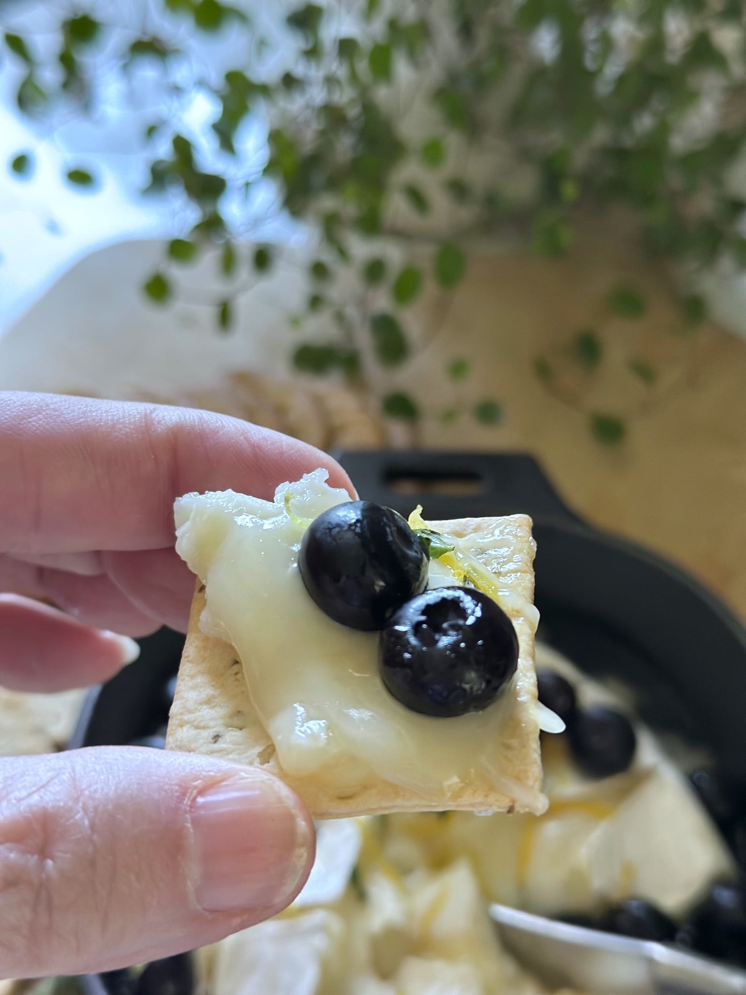 Serving of blueberry baked brie. 