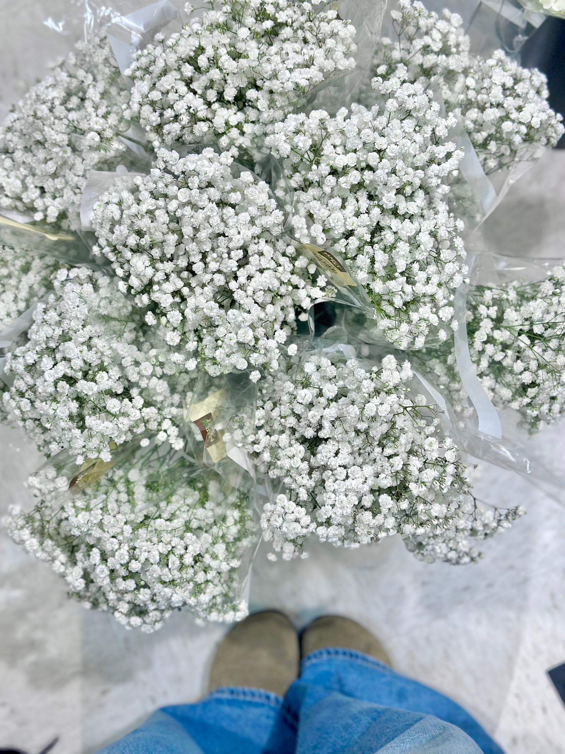 A bucket full of bunches of baby's breath at our local grocery store. 