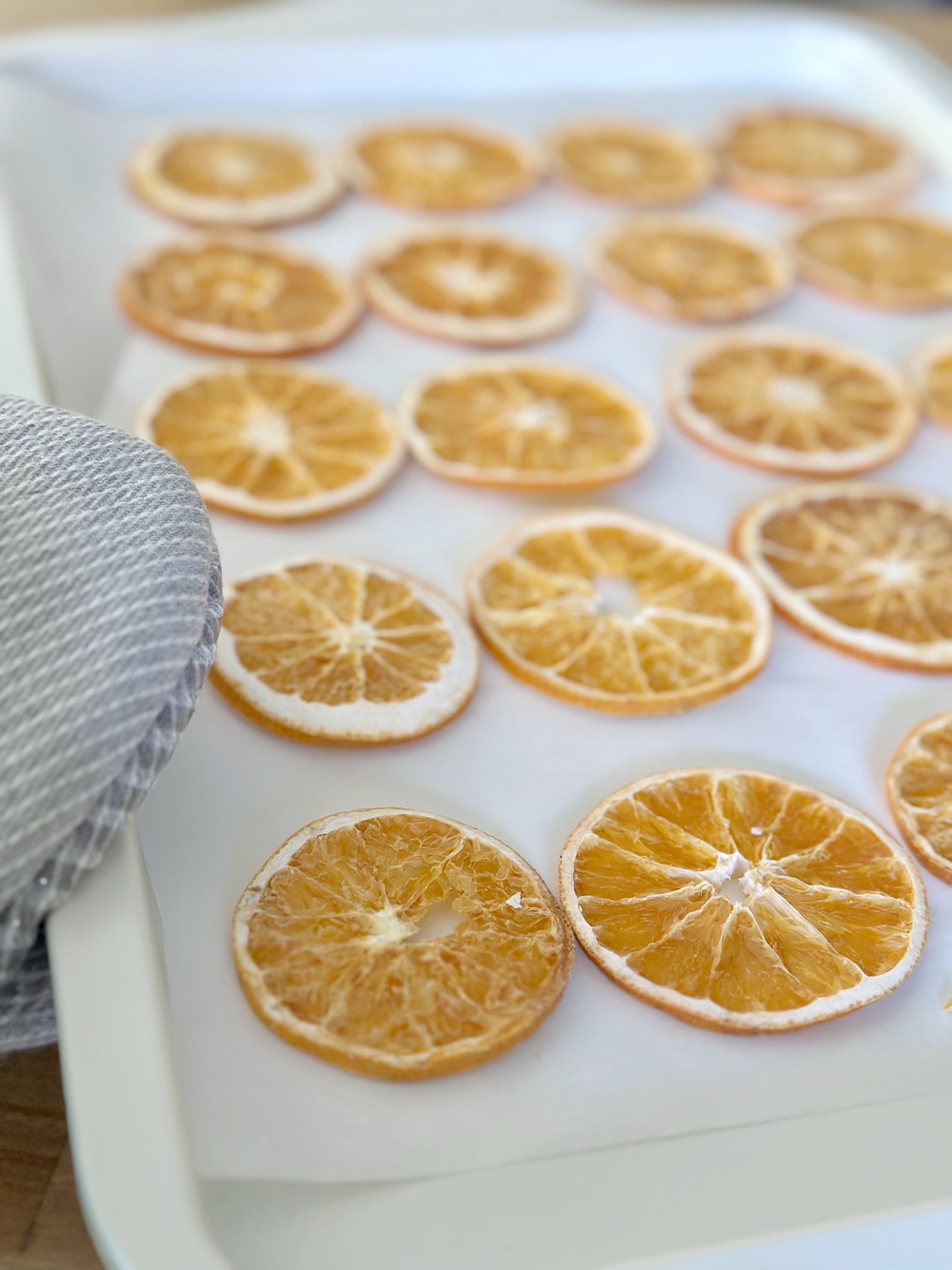Dried orange slices on a sheet pan. 