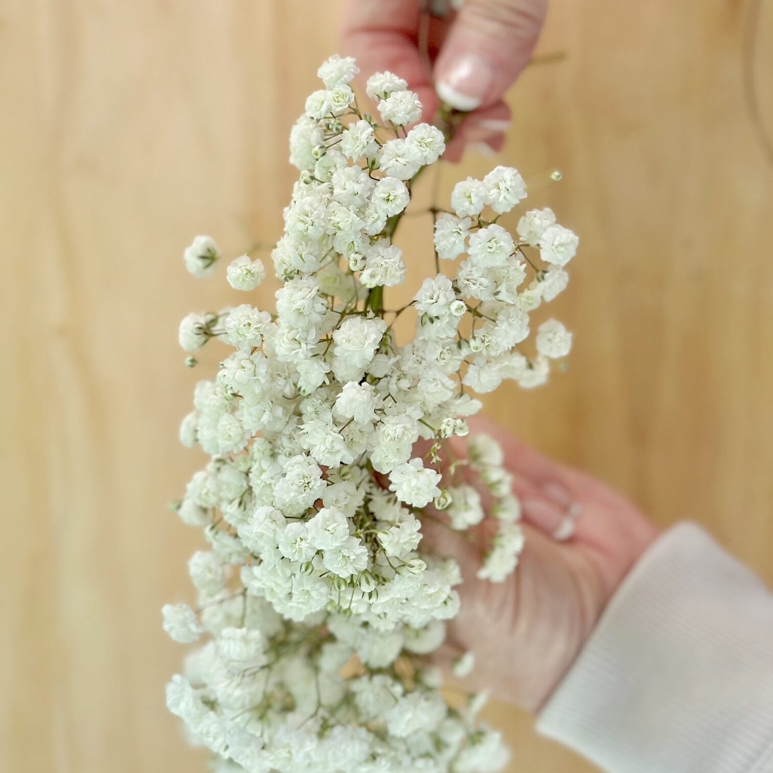 Continuing to add clusters of babys breath to the garland. 