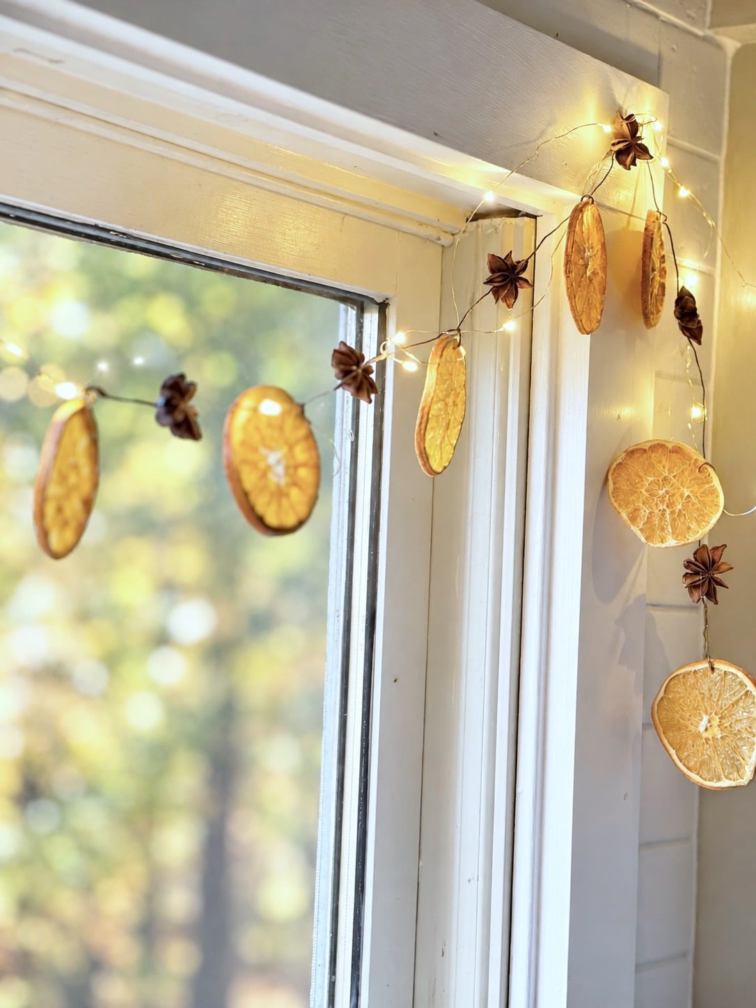 Dried orange slices and star anise garland. 